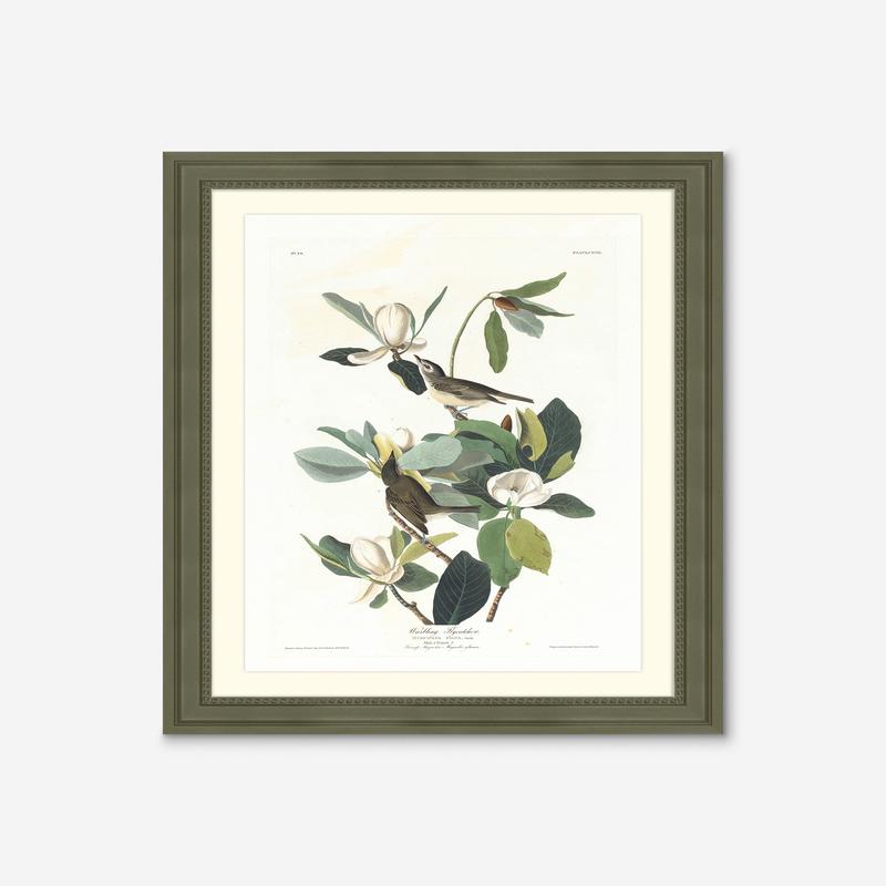 Wings of the Wild II Wall Art by Alex Zane 24.75 X 34
