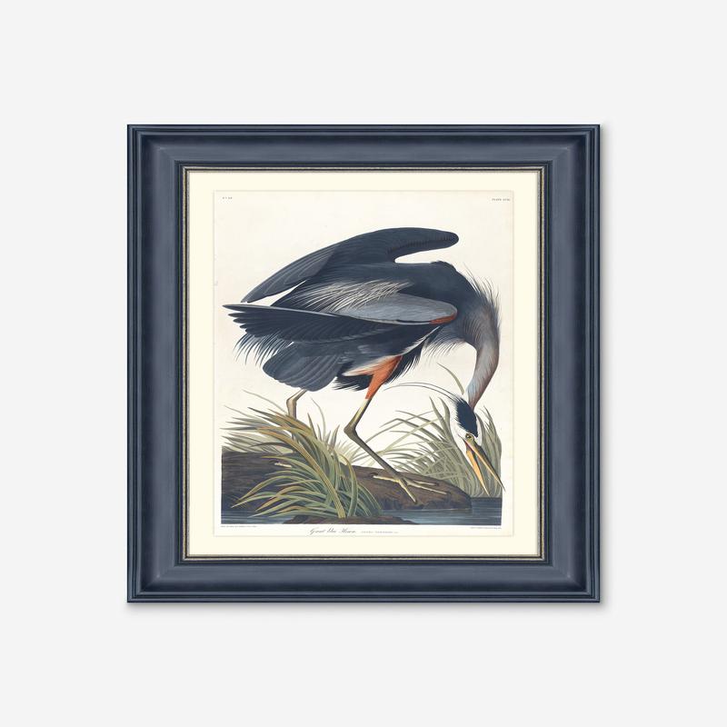 Wings of the Wild III Wall Art by Alex Zane 24.75 X 34