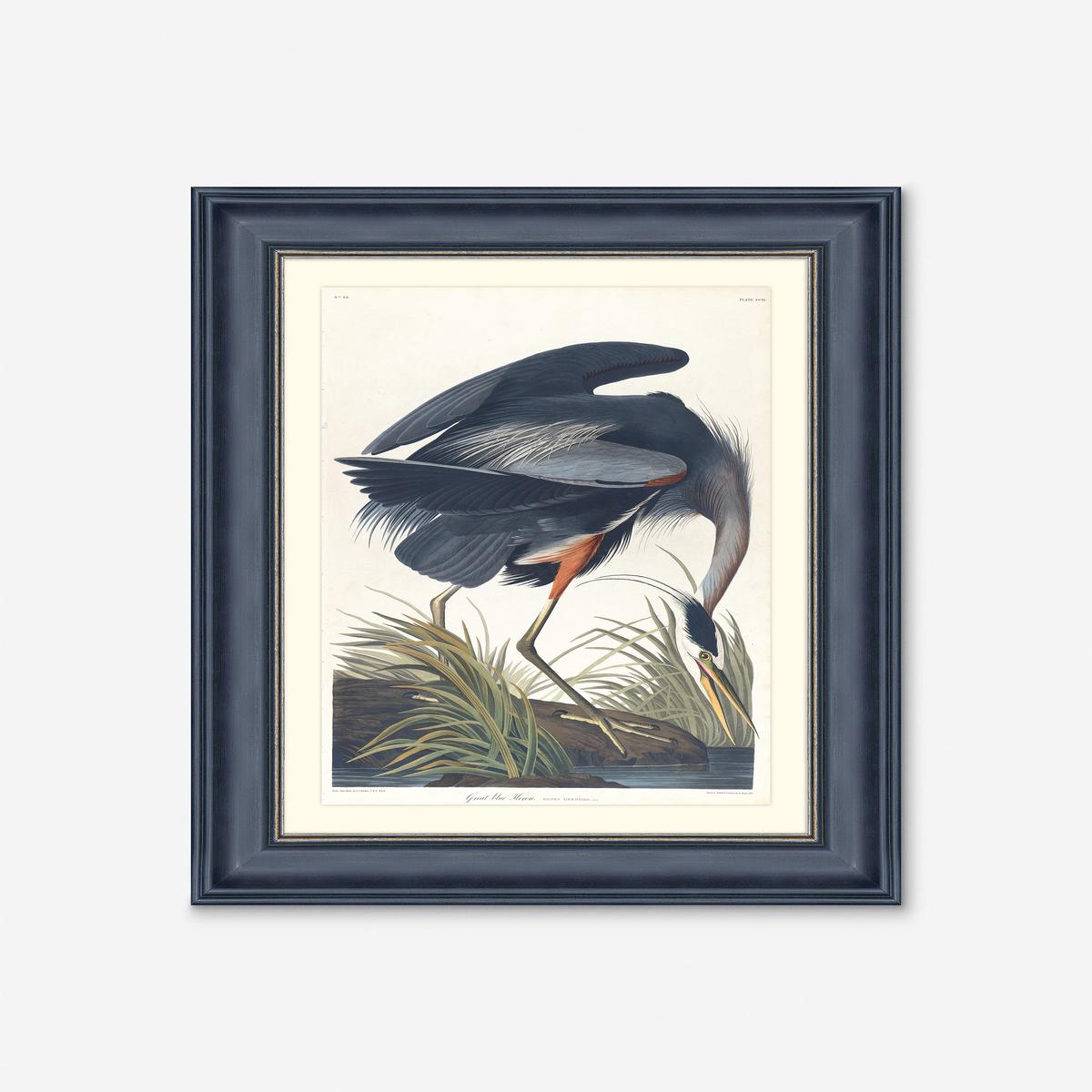 Wings of the Wild III Wall Art by Alex Zane