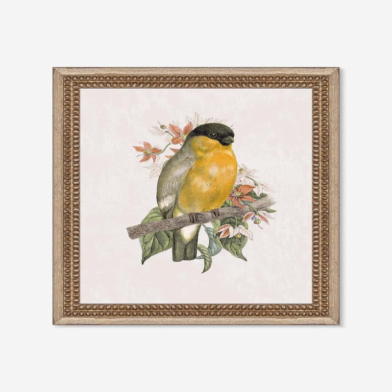 Wings of Wonder Wall Art by Lilly Kinsey 12 x 14