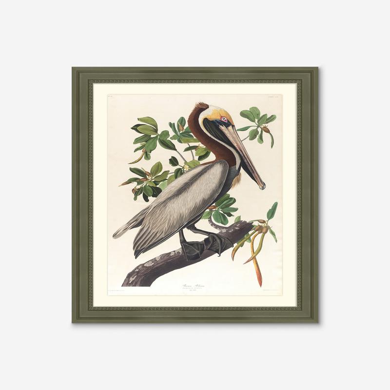 Wings of the Wild I Wall Art by Alex Zane 18.75 X 25.75