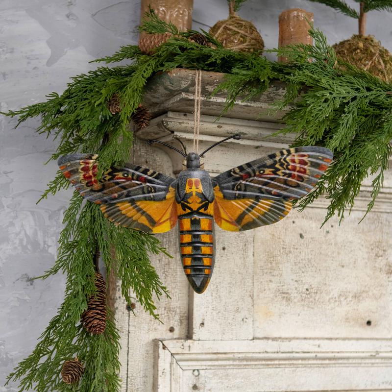 14" Hawk Moth Metal Wall Decor