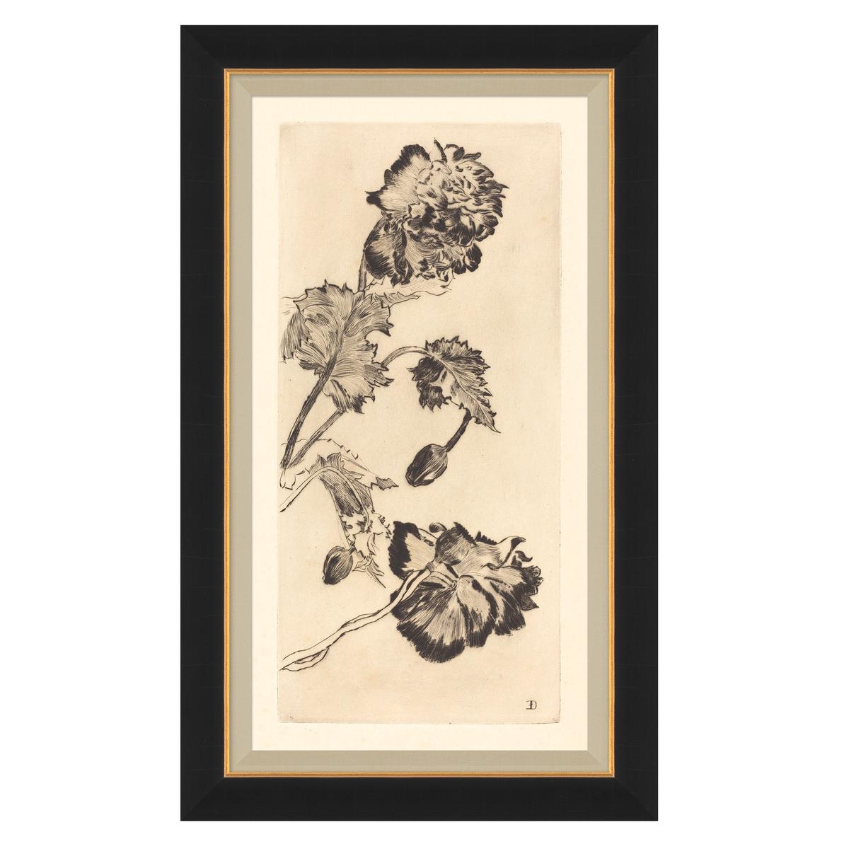 Vintage Peony I