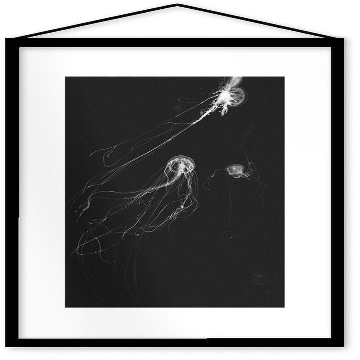 Affiche Medusa II encadre Moebe noir A3 - Le Renard