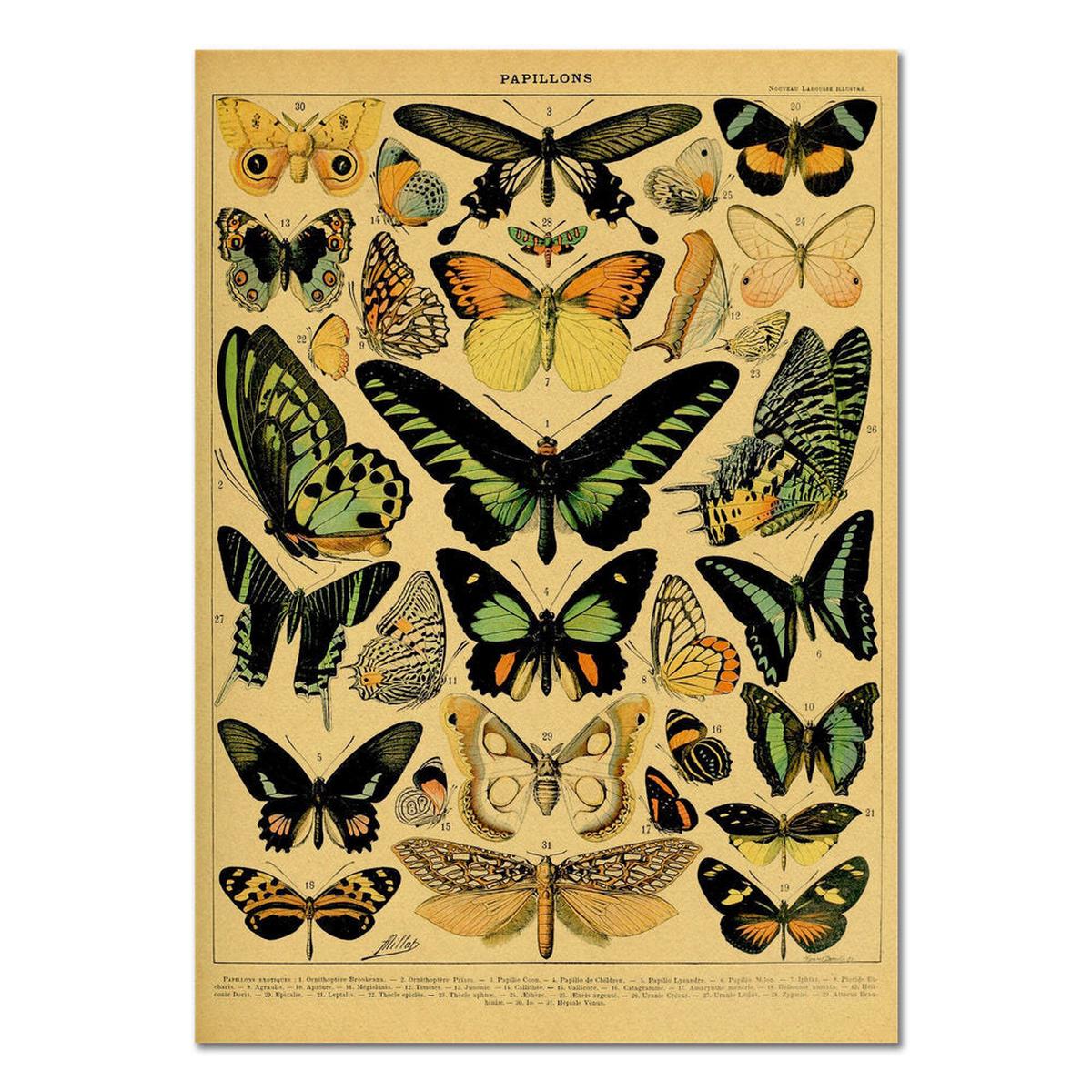 Yeknu Papillons Kraft Paper Poster
